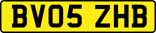 BV05ZHB