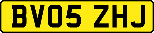 BV05ZHJ