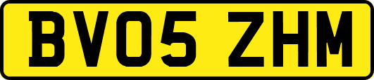 BV05ZHM
