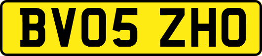 BV05ZHO