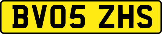 BV05ZHS