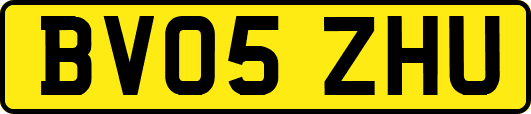 BV05ZHU
