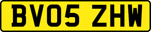 BV05ZHW