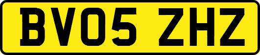 BV05ZHZ