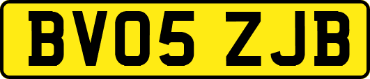 BV05ZJB