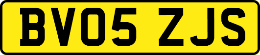 BV05ZJS