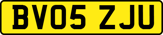 BV05ZJU