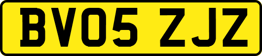 BV05ZJZ