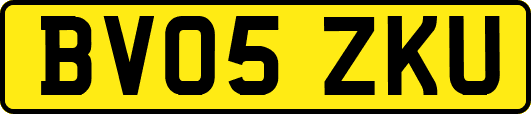 BV05ZKU