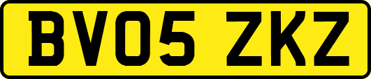 BV05ZKZ