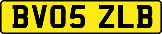 BV05ZLB