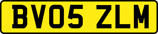 BV05ZLM