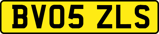 BV05ZLS