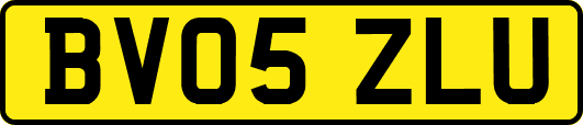 BV05ZLU