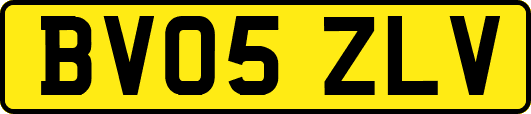 BV05ZLV