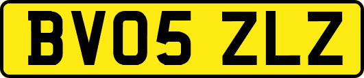 BV05ZLZ