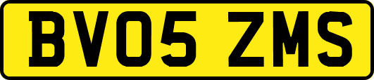 BV05ZMS