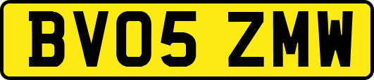 BV05ZMW