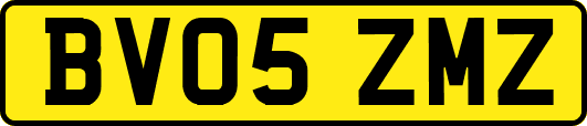 BV05ZMZ