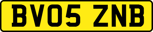 BV05ZNB