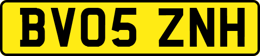 BV05ZNH