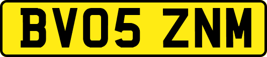 BV05ZNM