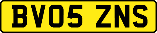 BV05ZNS