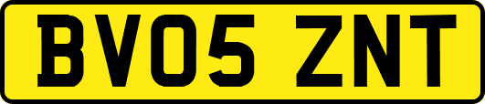 BV05ZNT