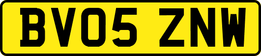 BV05ZNW