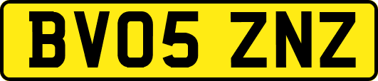 BV05ZNZ