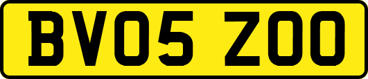 BV05ZOO