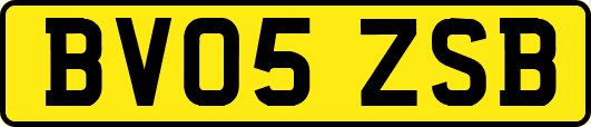 BV05ZSB