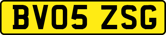 BV05ZSG