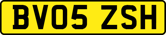 BV05ZSH