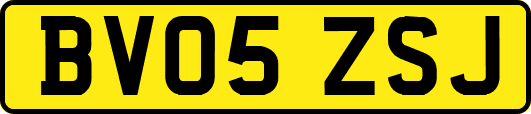 BV05ZSJ