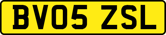 BV05ZSL