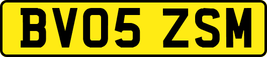 BV05ZSM