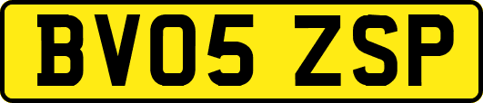 BV05ZSP