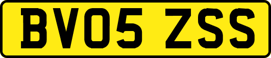 BV05ZSS