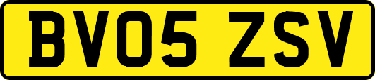 BV05ZSV