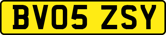 BV05ZSY