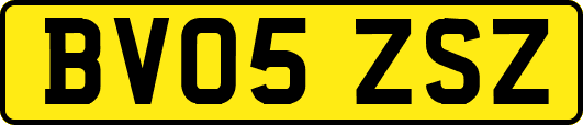 BV05ZSZ