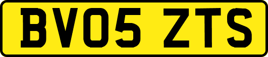 BV05ZTS