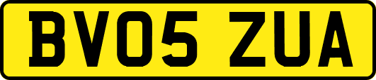BV05ZUA