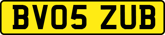 BV05ZUB