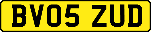 BV05ZUD