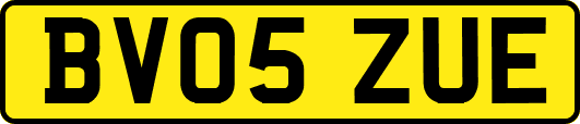 BV05ZUE