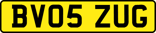 BV05ZUG