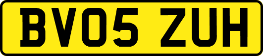 BV05ZUH