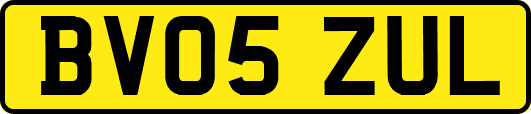 BV05ZUL